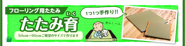 フローリング用たたみ たたみ育(いく) 50cm~90cmご要望のサイズで作ります 1つ1つ手作り!!